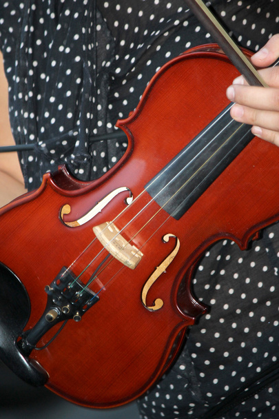 Violino - Foto, immagini