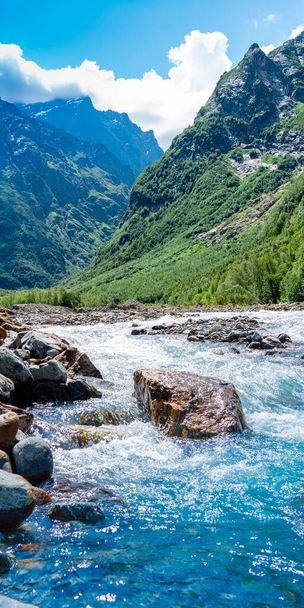 View of the mountain river in the gorge, North Ossetia, Russia. Impenetrable rocks, majestic sun, mountains and forests. - 写真・画像