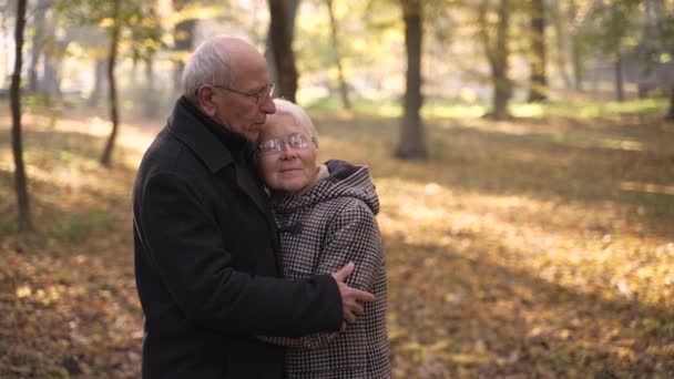 Loving elderly couple cuddling among autumn park - Filmati, video