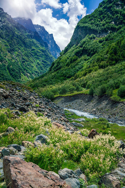 A river flowing out of a glacier in a mountain gorge. Mountain river in the Caucasus. Picturesque summer mountain landscape. Vertical format. - Foto, afbeelding