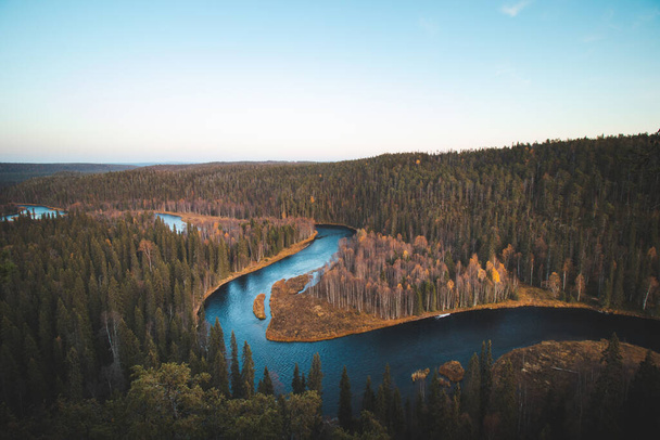 Bend w rzece Kitkajoki w Parku Narodowym Oulanka w północnej Finlandii podczas zachodu słońca. Jesienny las świerkowy z niebieską rzeką tworzącą węża. Suomi natura. - Zdjęcie, obraz