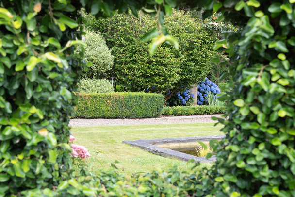 Jardín formal con árboles y setos con flores azules y senda que corre across.1 - Foto, imagen