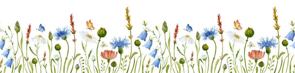 Watercolor Flower Border with chamomile and cornflower - 写真・画像