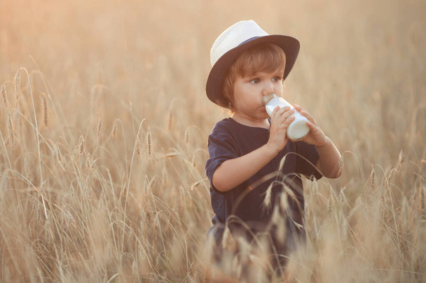 Hungry cute toddler: little boy 2-3 years old drinks milk from a glass bottle on a summer day in wheat field - Foto, imagen