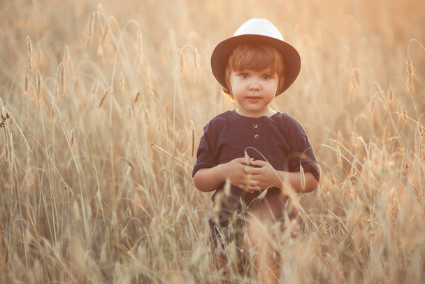 Portrait of cute caucasian little boy 2-3 years old in a straw hat walking and playing in a wheat field on a summer day at sunset  - Photo, image