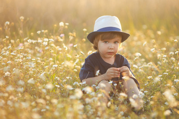 Portrait of sad caucasian little boy 2-3 years old in a straw hat sitting and playing in camomile flowers field on a summer day at sunset  - Fotografie, Obrázek