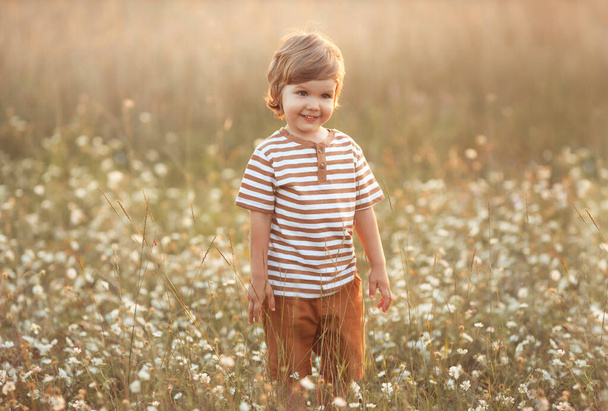 Portrait of cute caucasian little boy 2-3 years old in casual clothes walking and playing in a wheat field on a summer day at sunset  - Fotografie, Obrázek