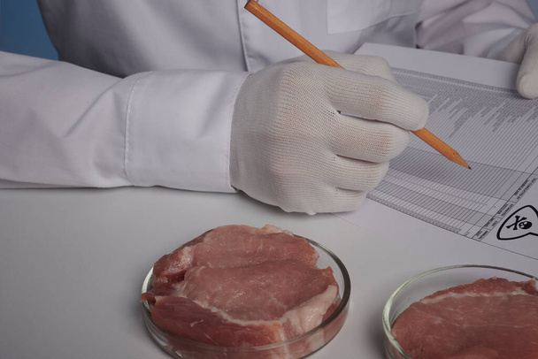 Laboratory Assistant Fill Logs for Meat - Toxic Test Food Control - Valokuva, kuva