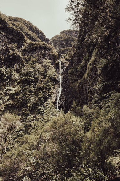 Spectacular double waterfall falling through jungle forest. - Zdjęcie, obraz