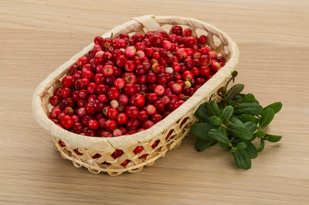 Cowberry en el tazón
 - Foto, Imagen