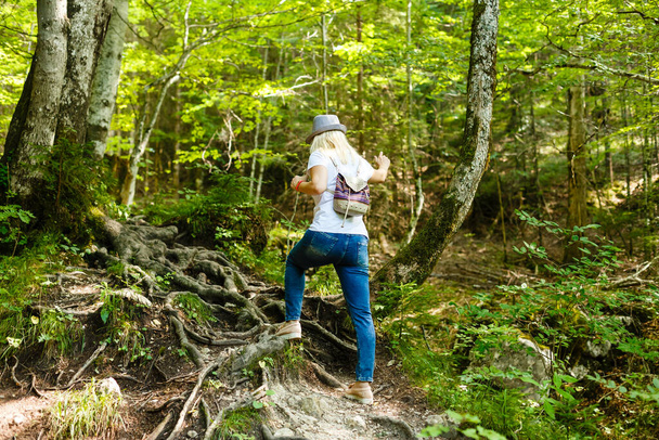 woman walking in the mountain forest - Photo, image