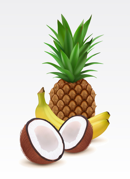 Tropical fruits - Vector, Image