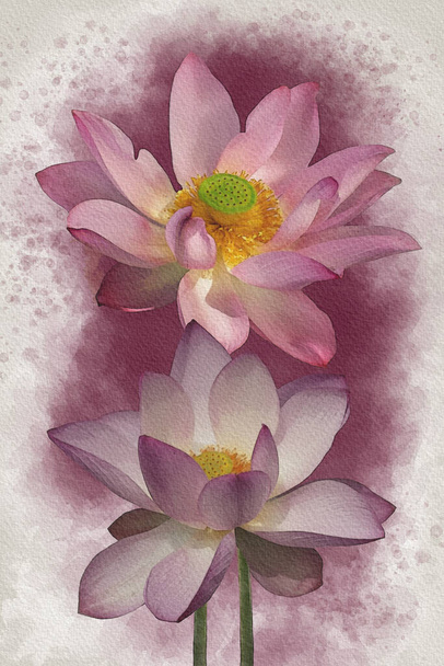 Υδατογραφία ενός ζωντανού ροζ λωτού λουλούδια. Βοτανική τέχνη. Διακοσμητικό στοιχείο για ευχετήρια κάρτα ή πρόσκληση γάμου - Φωτογραφία, εικόνα