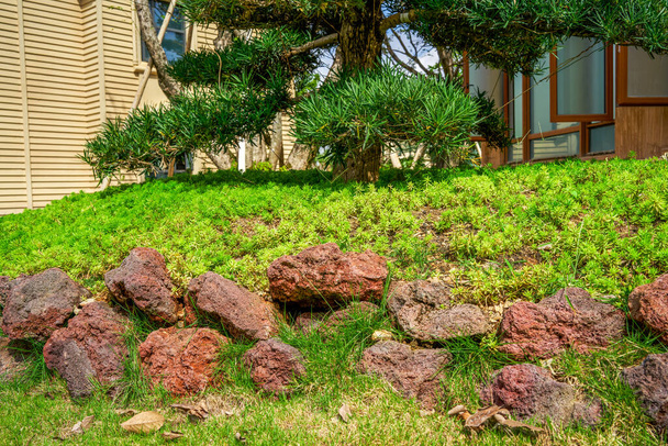 Green lawn vegetation and stone landscape in the manor courtyard - 写真・画像
