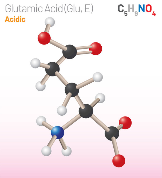 Ácido glutámico (Glu, E) molécula de aminoácidos. (fórmula química C5H9NO4) molécula alifática de aminoácidos. Modelo de bola y palo, modelo de relleno de espacio y fórmula esquelética. Ilustración de vectores en capas - Vector, Imagen
