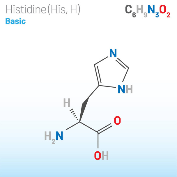 Histidine (His, H) amino acid molecule. (fórmula química C6H9N3O2) se utiliza en la biosíntesis de proteínas. Modelo de bola y palo, modelo de relleno de espacio y fórmula esquelética. Ilustración de vectores en capas - Vector, Imagen
