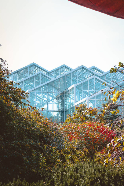 The greenhouse at the Frederik Meijer Gardens in Autumn - Fotoğraf, Görsel