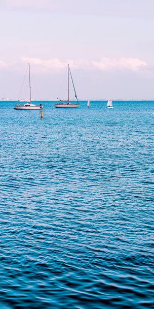 Sailboat harbor, many moored sail yachts in the sea port, modern water transport, summertime vacation. - Photo, image