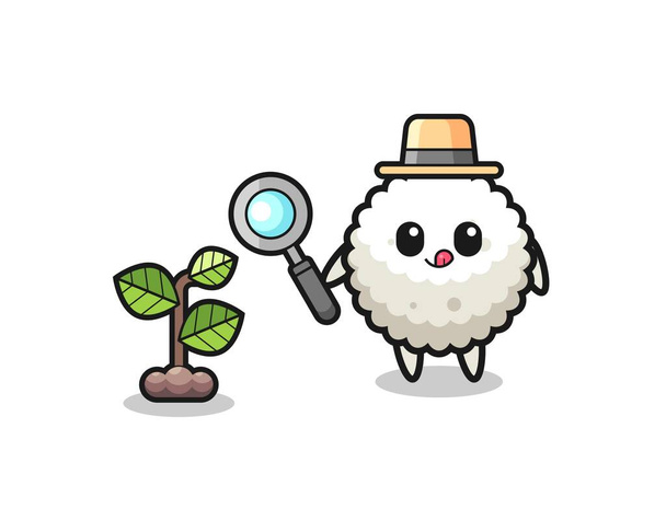 cute rice ball herbalist researching a plants , cute design - Vector, Image