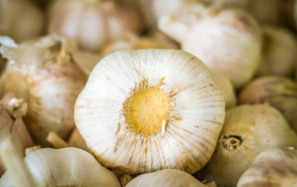 Close-up thailand garlic bulbs and garlic cloves on fresh garlic Background on market stand - Foto, Imagem
