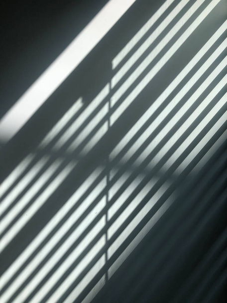 abstract background with lines. 3d illustration - 写真・画像