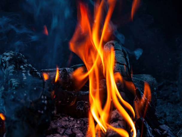 Odun ateşinin turuncu alevleri. Odun ateşinin sıcaklığı. Ormanın doğasında turistik bir yer. Izgarada yemek pişirmek. Arkaplan resmi. Metin için boş alan. - Fotoğraf, Görsel