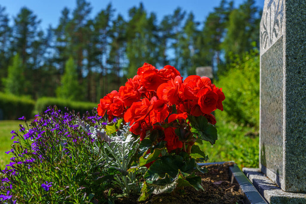 Gravestone with colorful flowers at a cemetery in Sweden, in summer sunlight and a blue sky - Фото, зображення