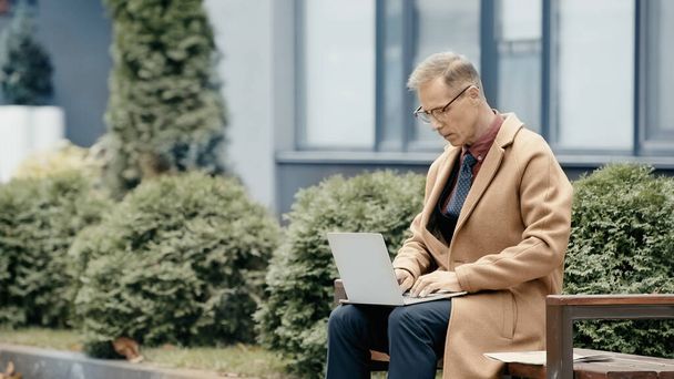 Businessman in coat using laptop near newspaper on bench outdoors  - Fotoğraf, Görsel