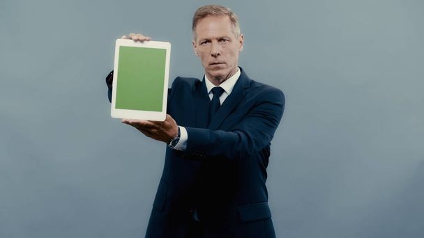 Homme d'affaires mature montrant tablette numérique avec écran vert isolé sur gris  - Photo, image