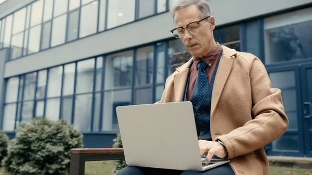 Middle aged businessman using laptop on bench near building outdoors  - Fotó, kép