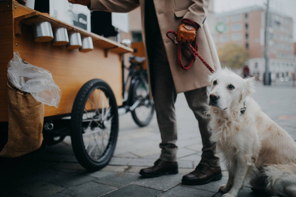 Low section of elegant senior man walking his dog and buiyng street food outdoors in city. - Foto, immagini