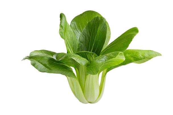 Свежая зеленая китайская капуста, бок чой, пок чой или пак чой, изолированные на белом фоне - Фото, изображение