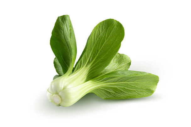 Fresh green Chinese cabbage, bok choy, pok choi or pak choi, isolated on white background. - Фото, изображение