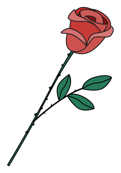 Pink red rose flower. Cute romantic Valentines day doodle cartoon hipster style vector illustration isolated on white. For greeting cards, poster or invitation - Вектор,изображение