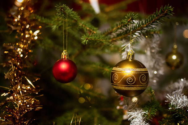 Dos adornos de Navidad cuelgan en el árbol de Navidad. El árbol es un verdadero abeto traído adentro.. - Foto, imagen
