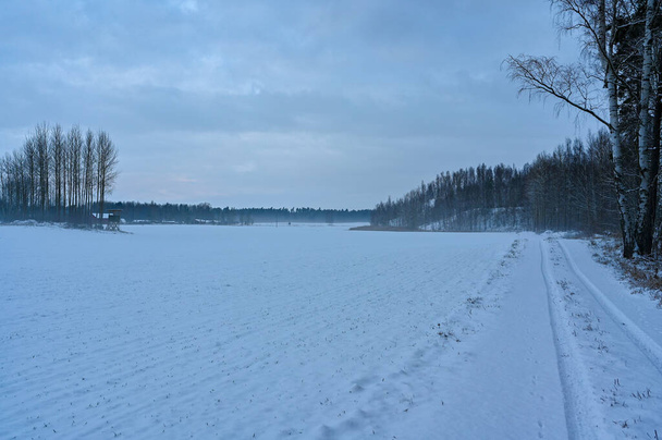 winter landscape with grey cloudy sky and snow on field - Fotoğraf, Görsel