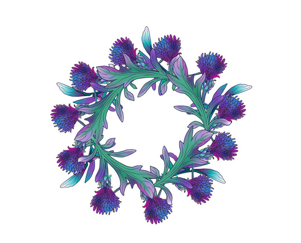 Καλαμποκιού Centaurea cyanus, στεφάνι λουλούδι πρότυπο. Λουλούδι φόντο λουλουδιών. Εικονογράφηση διανύσματος. - Διάνυσμα, εικόνα