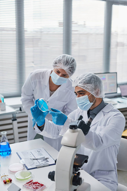 Scientists working with samples in team - Zdjęcie, obraz