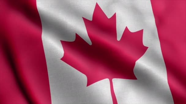 Canada blowing flag video, motion loop. Canada flag Closeup 4k resolution video. - Footage, Video