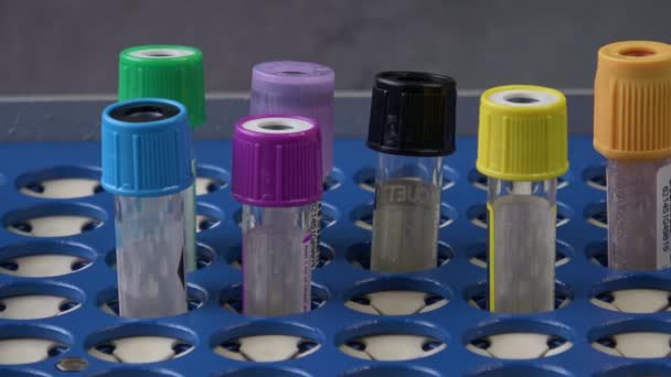 Leere Reagenzgläser mit bunten Kappen in einem Tablett auf blauem Hintergrund - Filmmaterial, Video