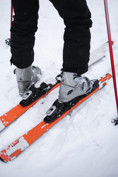 male professional athlete putting on skis for skiing from the mountain close-up - Foto, Imagem