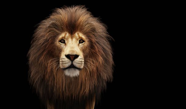 Портрет льва на черном. 3D иллюстрация - Фото, изображение