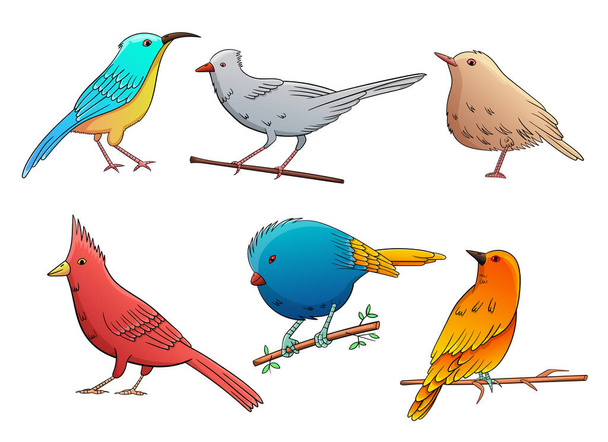 Birds set vector design illustration isolated on white background - Vektor, obrázek