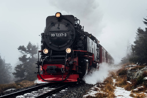 Паровий поїзд в горах Харца, що бореться в тумані і снігу на горі - Фото, зображення