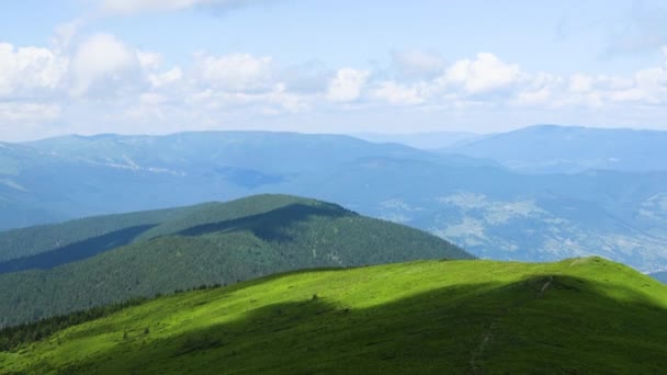 Idyllic mountain landscape in Carpathians in Ukraine, Europe with blooming meadows in springtime - Footage, Video