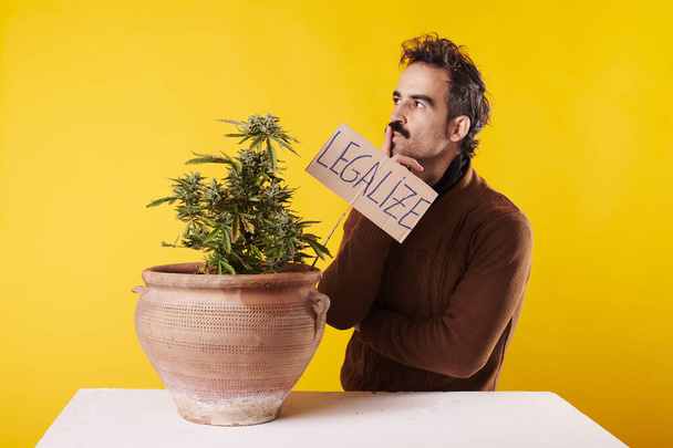 Un jeune homme à côté d'une plante de cannabis avec un signe "légaliser la marijuana" sur un fond jaune. - Photo, image
