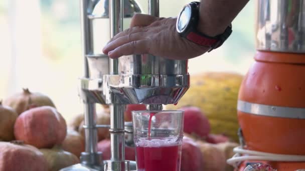 Close up of male hands preparing pomegranate juice using. - Filmati, video