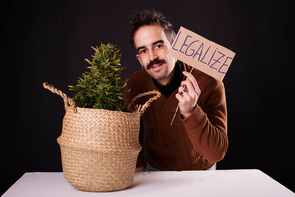 A young man next to a cannabis plant with a sign "legalize marijuana" on a black background. - Fotó, kép
