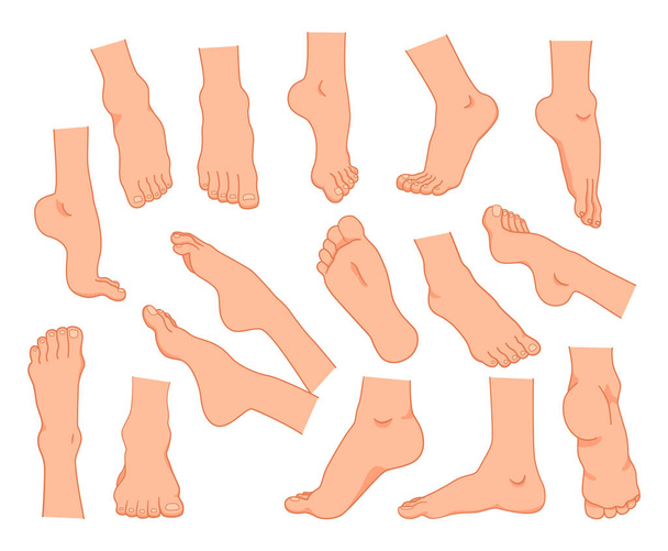 Pies humanos. Caricatura masculina y femenina elementos del tobillo del cuerpo. Descalzo con los dedos. Ilustración de pedicura. Pies desnudos posando. Pedicura cosmética del cuidado de la piel. Vector piernas desnudas posiciones conjunto - Vector, imagen