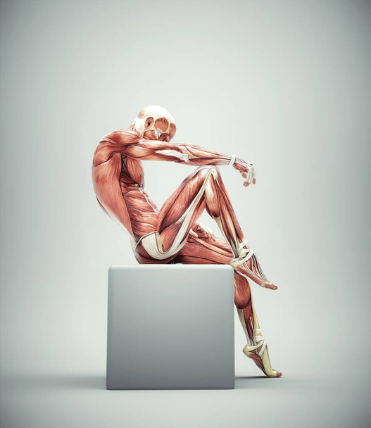 Muscular system of a man posing on a cube. Uniqueness and complexity concept. This is a 3d render illustration - Foto, afbeelding